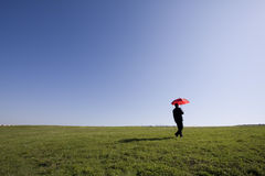 How To Succeed From A Freejobalert Notice