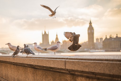 Worst Traffic Hotspots In London