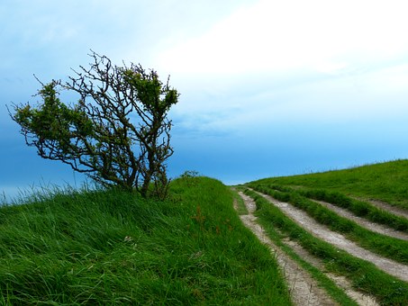 Dreaming Of A Bargain Adventure? Read These Strategies On How To Nab Land Travel Discounts
