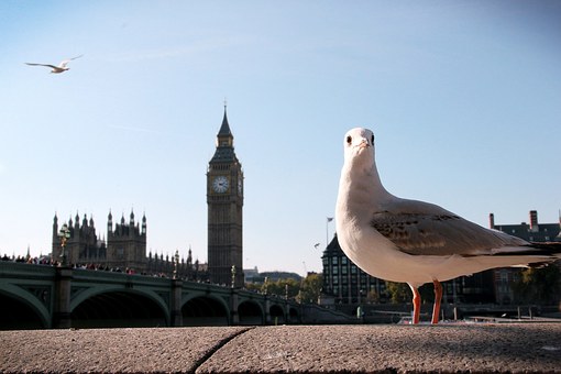 Why You Should Hire A London Removals Company