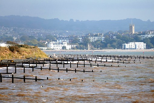 Traveling Across The Barking Town