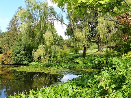 Discover London's Finest Attractions Along With Beneficial Tour Instructions For Foreigners