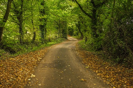 2010 London Adventure Guide Regarding Getting Price Cuts, Picking, Including Reserving Accommodation