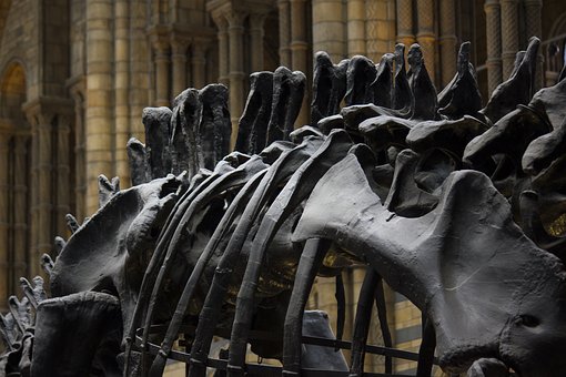 Top London Tourist Information Including Getting The Best Rates, Selecting, As Well As Reserving Hot