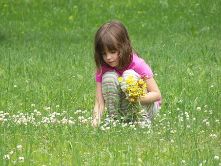 Choosing The Right Nh Health Insurance Policy For Your Family Or Company