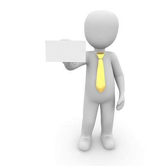 Business Portal Highlights For Consultant: Microsoft Dynamics Gp 9.0 .....