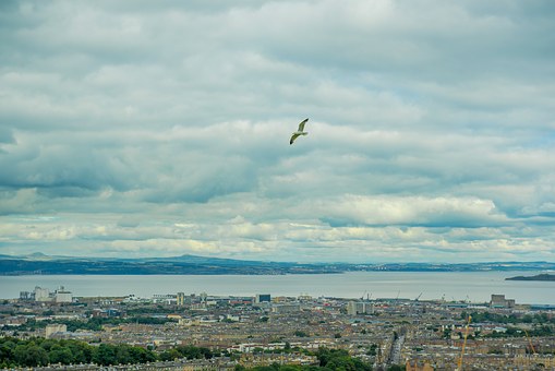 Will Your Small Business Have A Happy Ending?