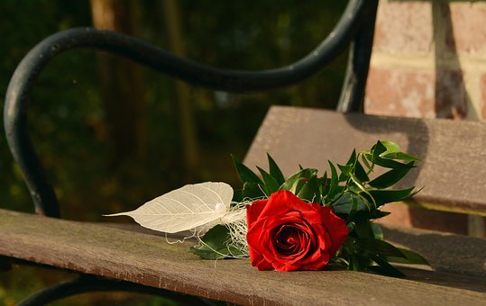 How Deck Upkeep Saves Cash