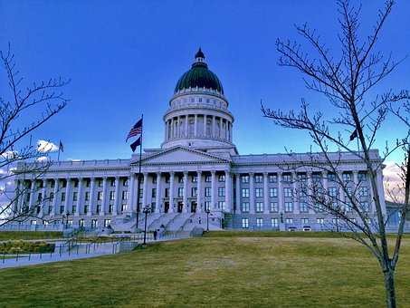 Essential Support for Small Business