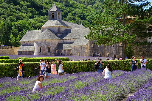 Paris Hotels And Tourist Attractions
