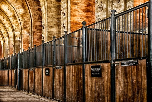 Interesting Paris Tour Packages