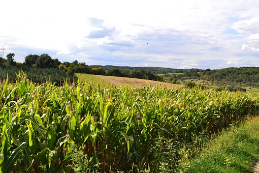 The Most Happening France Holiday Packages To Visit