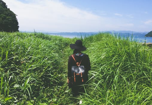 Local Seo For Small Business