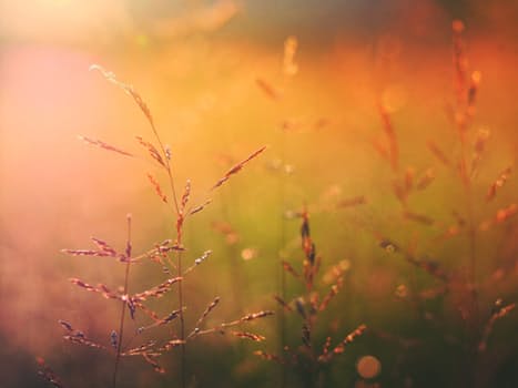 Start-up tips: Growing your business