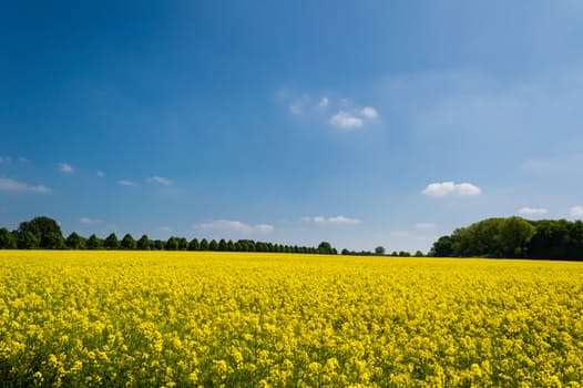Virtual Fax Helping Businesses Go Green