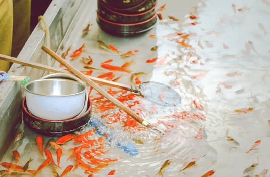 Is Your New Business Idea Actually Feasible?
