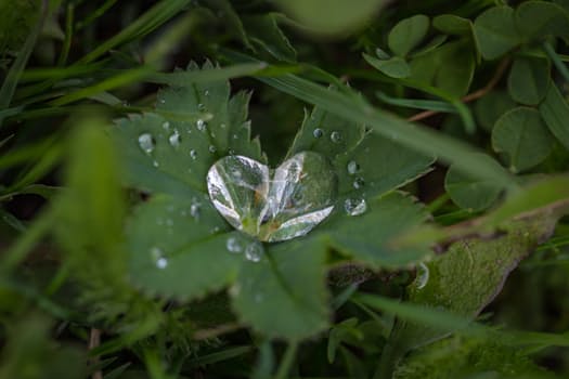 Lead Generation- Grow Your Business Despite Downturns In The Economy
