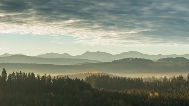 Do Not Be Afraid Of Being A Leader In Business