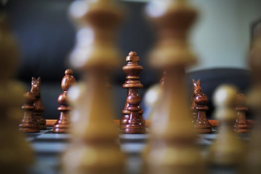 How To Make Money From The Online Business Opportunity