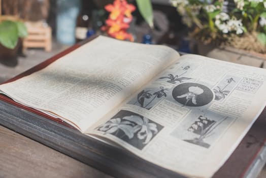 Leather Conference Folders - 5 Q&a's To Make Sure You Buy An Environmentally Friendly Product