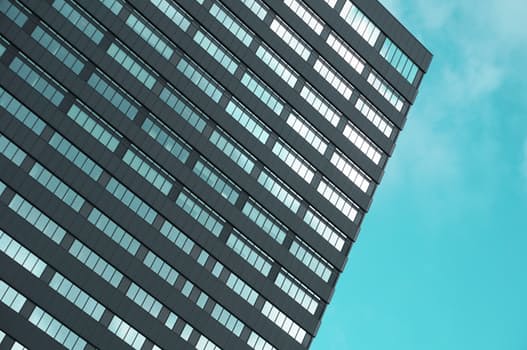 Importance Of Market Research For The Growth Of Business