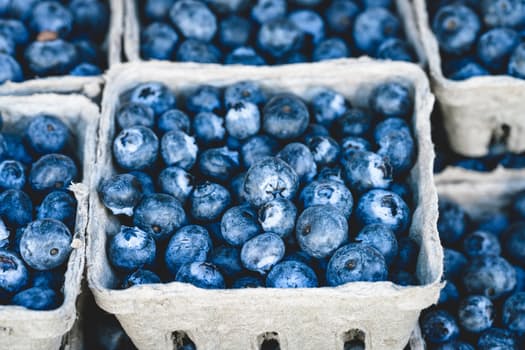 Get To Know The Process Of Building Small Business Credit