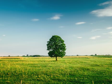 Starting Your Own Small Business