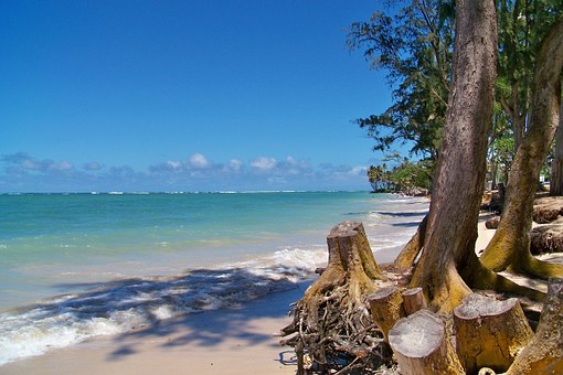 The Champion Still Depreciated Island Paradise Leave Bargain Also Entities