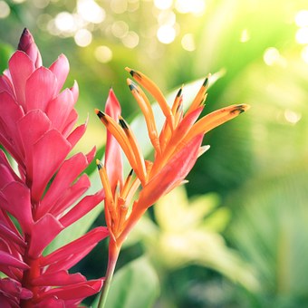 Thinking Of A Inexpensive Adventure? Check Out These Clues On How To Get Land Travel Prices
