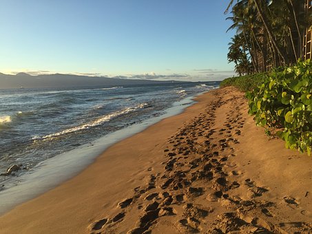 Get Hawaii Budget Hotels And Enjoy A Breathtaking Trip Now