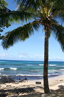 Thinking Of A Beautiful Hawaiian Excursion? It Is The Perfect Time To Find Awesome Hawaiian Trip Dis