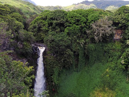Great Travel Packages For Hawaii - The Best Way To Find Them