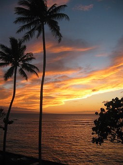 Traveller Guidelines Relative To Grand Packages & Excursion Trips While Booking Airlines For Las Veg