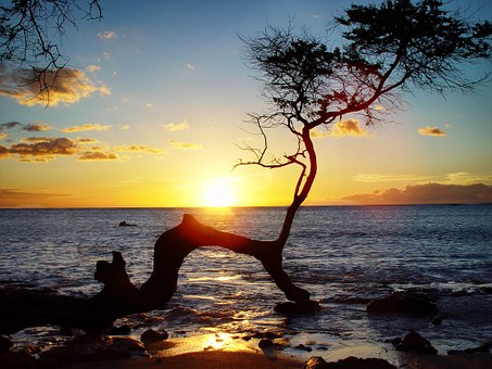 Tour A Few Glamorous And Superb Summer Escapades Places Plus Tourist Spots Within Our Globe