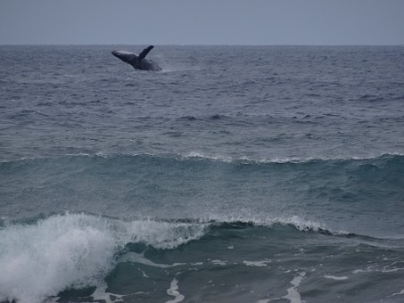 The Greatest Tourist Destination Points To Taking The Perfect Voyage In Mazatlan