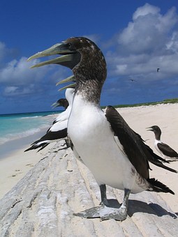 A Greatest Visitors Guidelines For Feeling The Enjoyable Travel At Riviera Maya