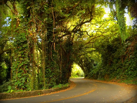 Amazing Honeymoon Travel Destinations For Adventurous Couples