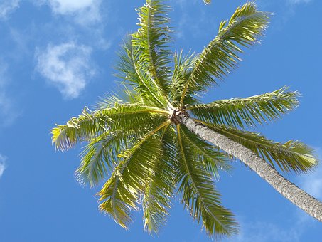 Taking A Inexpensive Adventure? Pay Attention To These Clues On Ways To Land Get Travel Packages