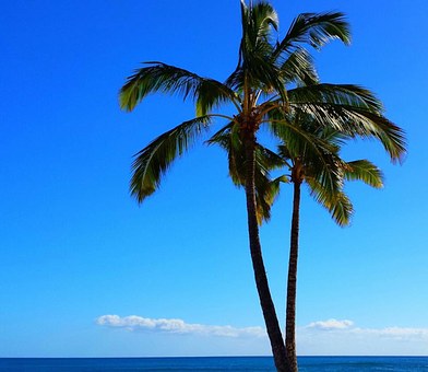 Cheap Offers Duirng Carnival Cruise Low Priced Carnival Cruise Tour Staying In Carnival Cruise Outin