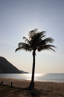 Look Online For Kauai Island En Suite Hotels To Organize One Astonishing Travel In No Time