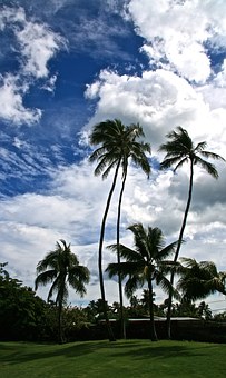 Cheap Trips to Hawaii Budget Traveling