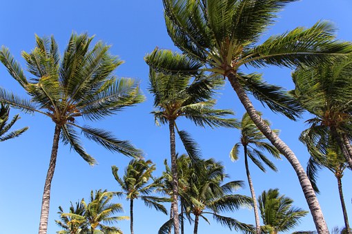 How to Find Low cost Air Travel Rates