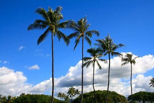 The 5 Best Surfing Destinations In Hawaii