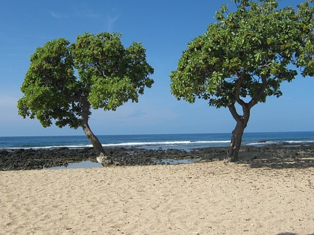Secure Kauai Budget Hotels To Plan One Relaxing Travel This Year
