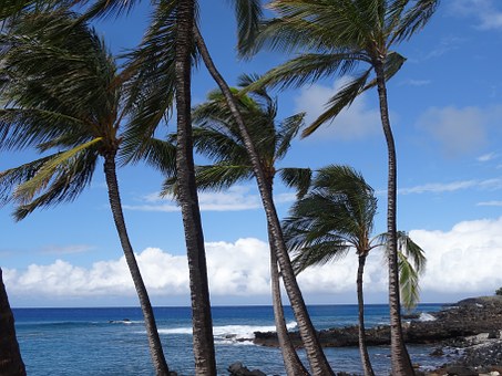 Researching That Magical Hawaiian Adventure? It Is No Problem To Grab Stellar Hawaiian Trip Deals