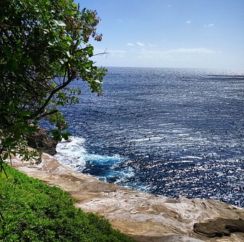 Aloha From The Friendly Folks At Buzzhawaii!