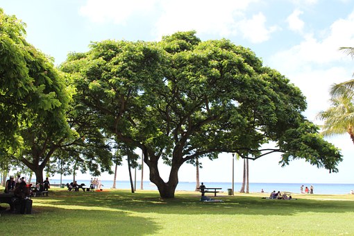 Experience Several Elegant And Excellent Leisure Trips Harbours Plus Significant Sights Around The W