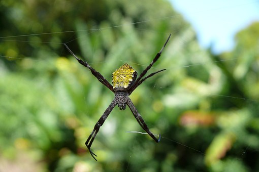 Taking Your Exotic Hawaiian Trip? It Is A Great Time To Nab Stellar Hawaiian Getaway Bundles
