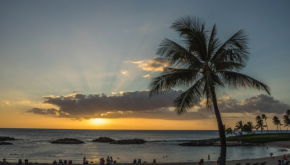 A Beachfront Rental in Waikiki