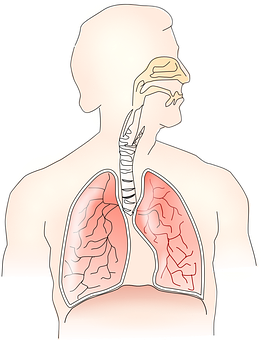 Ways To Alleviate Slipped Disc Pain With Chiropractic Care In Houston
